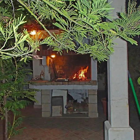 Albatros.3